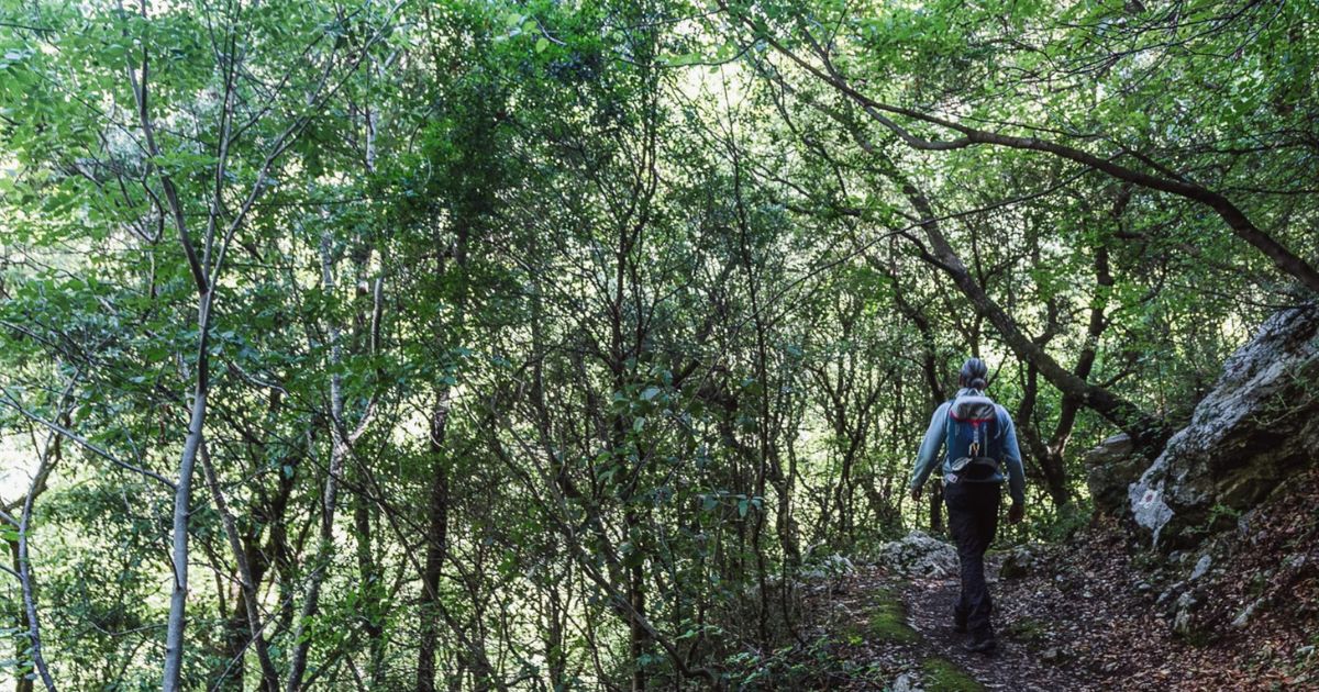 Πεζοπορία στο Menalon Trail